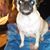 Anita Walker's profile image