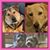 Vicki Lalich's profile image