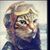 Lea Brandt's profile image