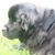 Mary Ottinger's profile image