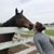 Ronie Meer's profile image