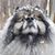 Kristen Jackson Dowd's profile image