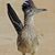Bill Taylor's profile image
