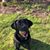 Connie Hay Ploch's profile image