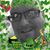 Andrew Kausmeyer's profile image