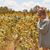 Anke Thijs's profile image