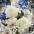 Regina Gleghorn-Carr's profile image