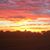 Cathy Jenkins Hillmann's profile image