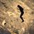 Robert Bain's profile image