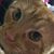 Debi Ashbaugh's profile image