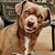 Sheri Jackson's profile image