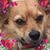 Debi Kelley's profile image