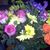Mary Bailey's profile image
