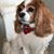 Cassi Conrad's profile image