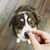 Melea Goddard Gernert's profile image