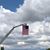 Alana Searle Ward's profile image
