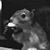 Mitchell Scheckel's profile image