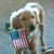 Kathy Naylor's profile image