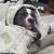 Jennifer Huyck Brown's profile image