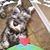 Holly Marple Curtis's profile image