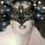 Linda Haner Tate's profile image