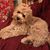 Bobbi Jo Floyd's profile image