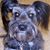 Denise Tomayko's profile image