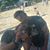 Juliana Alves's profile image