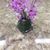 Darlene Brown's profile image