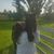 Vanessa Giron Mobley's profile image