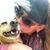 Kathryn Harris's profile image