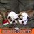 Julie Roesler Vandewater's profile image