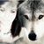 Jodi Farrington-Walters's profile image