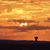 Gina Maria Sandoval's profile image