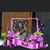 Mary Gillis's profile image