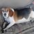 Jennifer Hasley's profile image