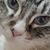 Tammy Harmon's profile image