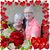 Dianne Barnum's profile image