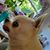 Mark Goslin's profile image