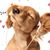Lee Kyeong Eun's profile image