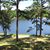 Robin Newkirk- Gowen's profile image