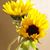 Jennie Bentz's profile image