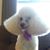 Margaret Fahey Hamilton's profile image