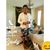 Se Moun Yoye Pranyopoumoun's profile image