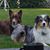 Nancy Ritch Harnetiaux's profile image