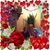 John Moise's profile image