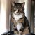 Lisa Garnier Rubio's profile image