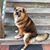 Patti Lemieux's profile image