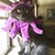 Maneki Neko's profile image