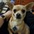 Rodney Somers's profile image